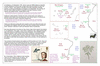 coo1b03 madeira to rio_thumb.gif